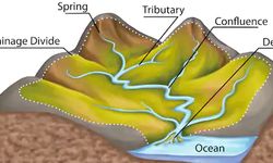 Mengenal Daerah Aliran Sungai (DAS): Pengertian, Fungsi, dan Bagiannya