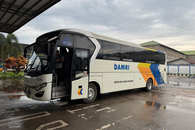 Bus DAMRI Pontianak-Palangkaraya