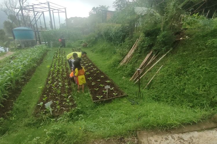 Pelajar SD Prennthaler di desa di atas bukit Kapanewon Samigaluh, Kabupaten Kulon Progo, Daerah Istimewa Yogyakarta, turun ke ladang dan sawah tiga kali seminggu. Pelajar kelas satu ditemani seorang pendamping pertanian, memperkenalkan berbagai tanaman yang ada di ladang.