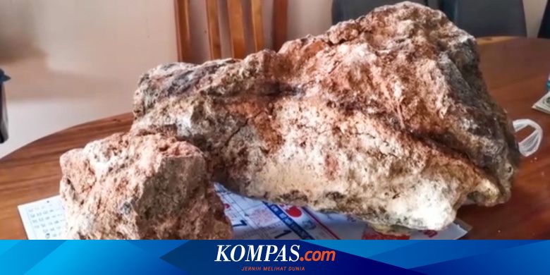 Muntahan Paus Harganya Mencapai Miliaran Rupiah, Apa Manfaatnya?