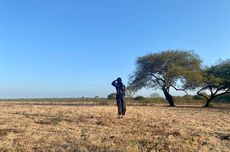 Taman Nasional Baluran Sudah Buka, Wajib Bawa Kartu Identitas