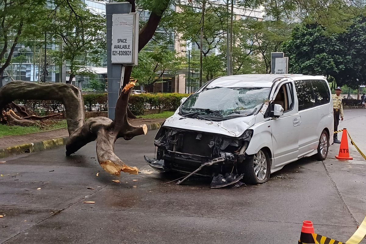 Pohon dengan tinggi sekitar 15 meter menimpa sebuah mobil di Jalan Epicentrum Boulevard, Setiabudi, Jakarta Selatan, Sabtu (29/6/2024) sore. 