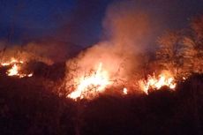 7,25 Hektar Lahan Taman Nasional Gunung Ciremai Terbakar