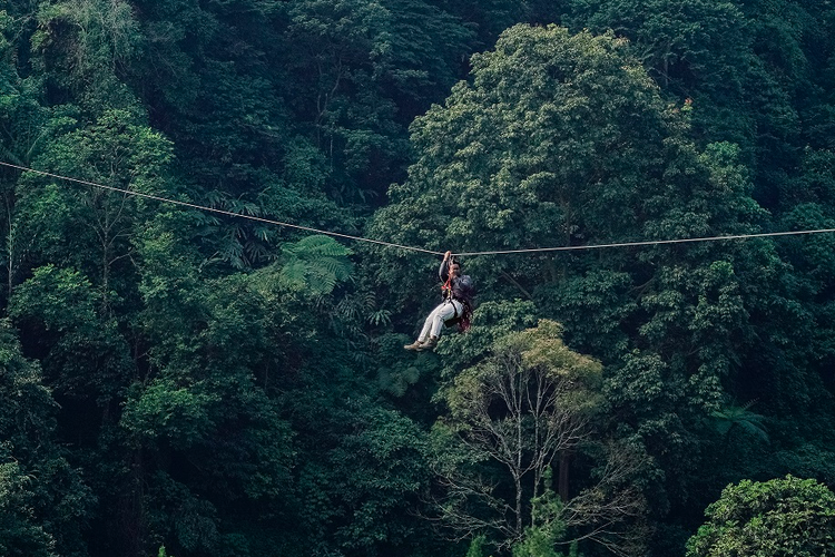 Wahana zipline di Bogor Treetop Zipline Adventure