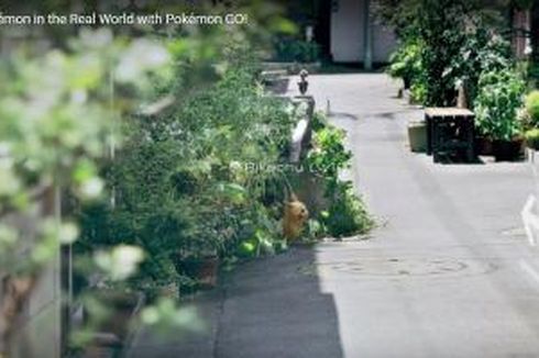 2016, Berburu Pokemon Bisa di Dunia Nyata