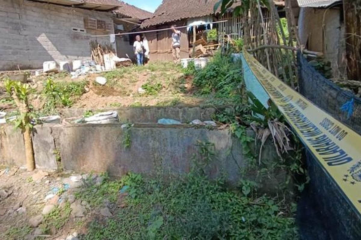 Ladang ganja itu berada di pekarangan samping belakang rumah milik SA (38), warga Dusun Tirtomoyo, dan polisi sudah mengamankan SA dan barang bukti.