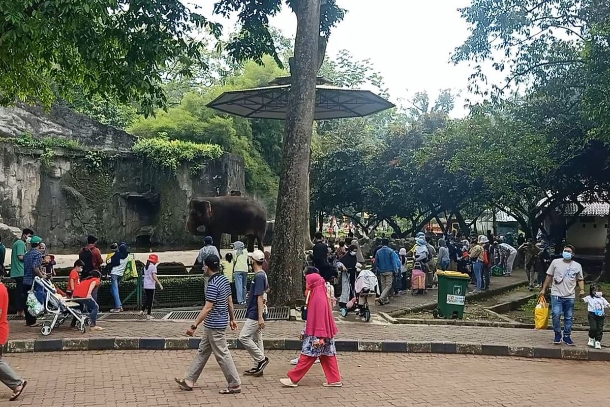 Wisatawan di Taman Margasatwa Ragunan saat libur Hari Raya Waisak pada Rabu (26/5/2021).