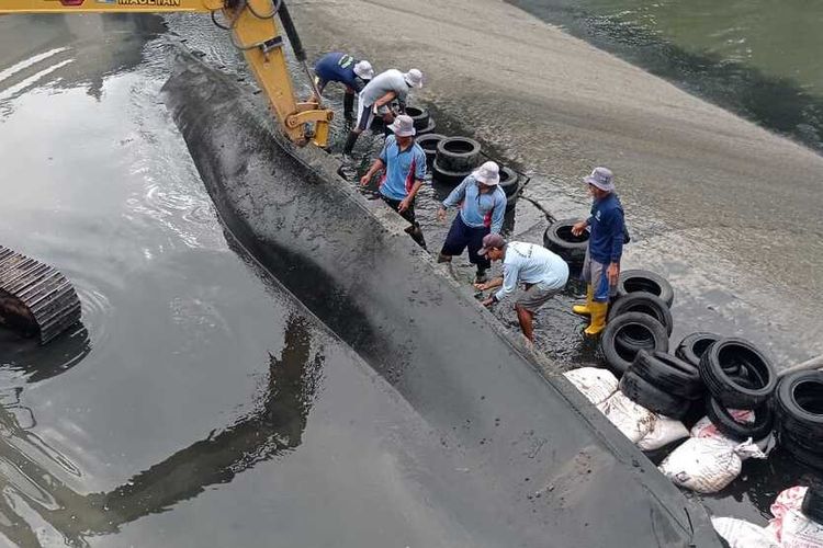 Puluhan petanidi 11 Desa di kabupaten Magetan membendung sungai di Bendung Beringin agar lahan pertanian seluas 800 hektar bisa teraliri air. Bendung beringin yang memopunyai system pompa karet untuk menahan air mengalami kerusakan karetnya sobek di terjang banjir padaBUlan Maret 2021 lalu.