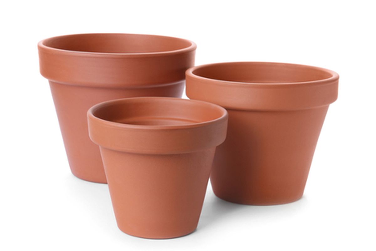 Ilustrasi pot tanaman untuk budidaya sayuran