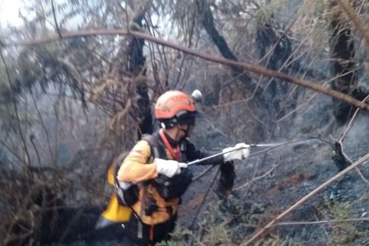 Kebakaran Hutan di Kawah Wadon Gunung Gede Meluas, 142 Personel Dikerahkan