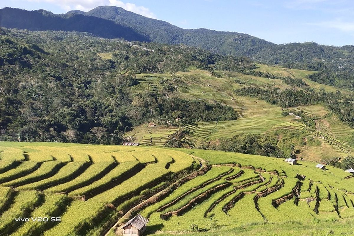 Pembuatan terasering bermanfaat bagi kegiatan ekonomi di bidang pertanian. Di Indonesia contoh terasering ada di Bali, di mana manfaat terasering adalah penahan erosi tanah.