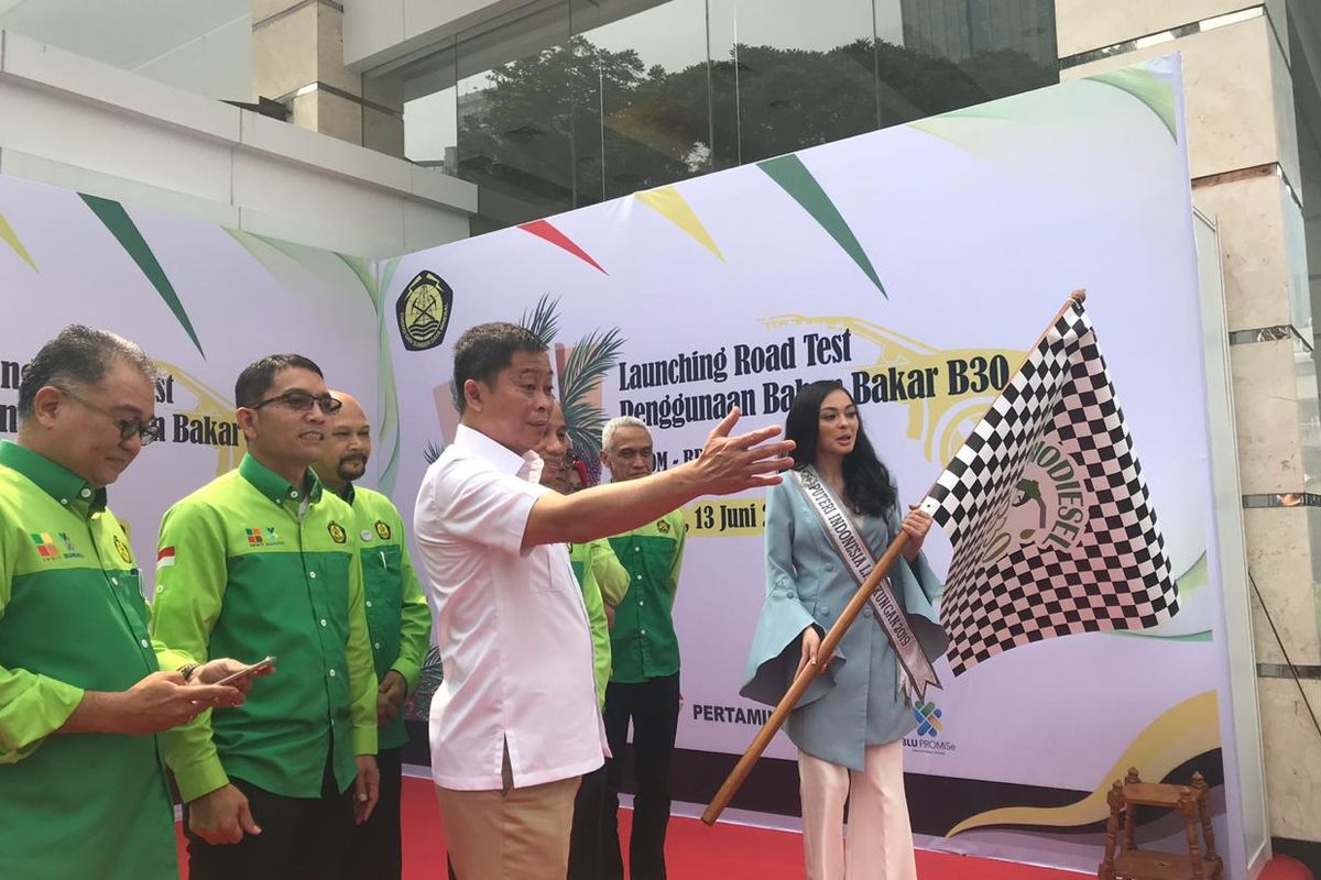 Menteri Energi dan Sumber Daya Mineral (ESDM) Ignasius Jonan saat melakukan uji coba penggunaan B30 di Kementerian ESDM, Jakarta, Kamis (13/6/2019). Jonan menyebut ada perdebatan antar menteri soal Perpres Mobil Listrik.