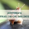 Avertebrata: Klasifikasi, Ciri-ciri, dan Contohnya