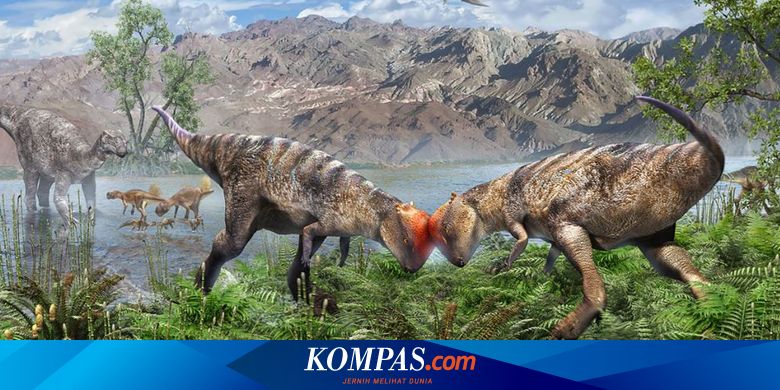 Dome-Headed Dino Fossils Found: Skulls & Tails Intact - News Directory 3