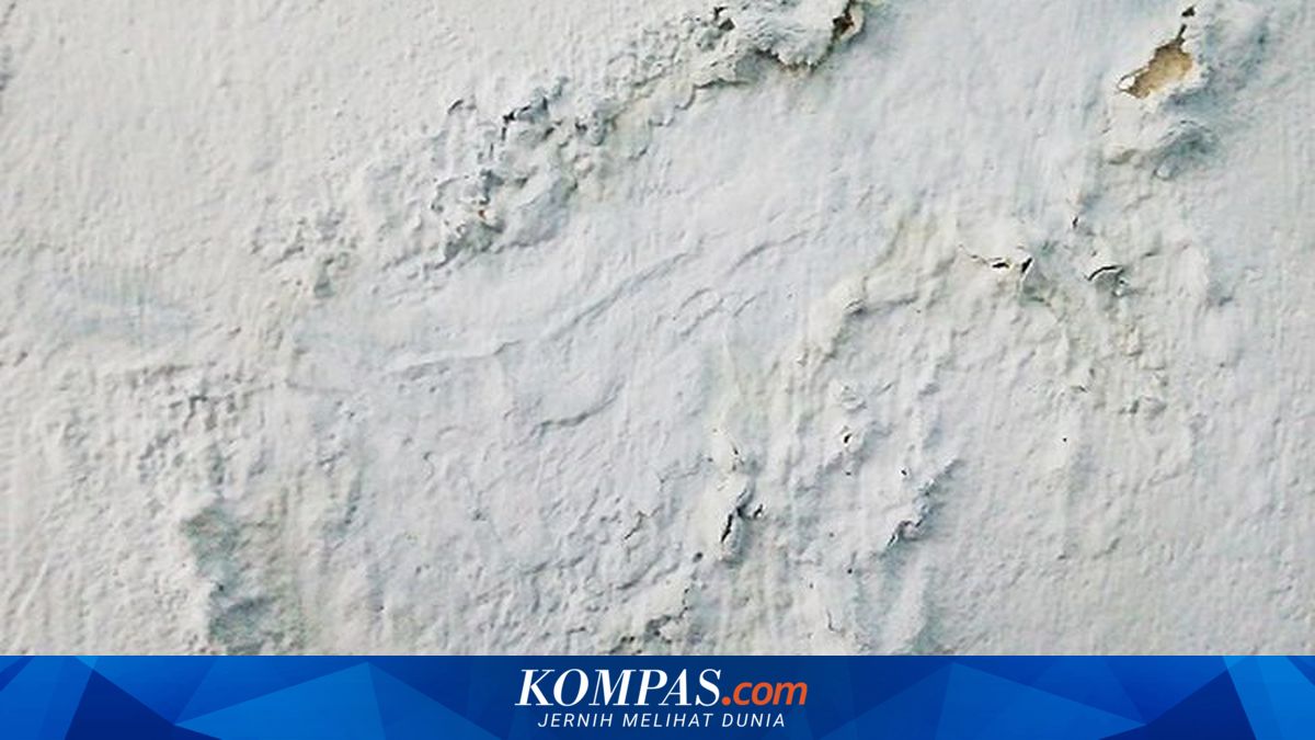 Cat Dinding Menggelembung: Penyebab, Cara Memperbaiki, dan Mencegahnya