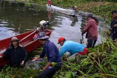 Eceng Gondok yang Tutup Permukaan Danau Tondano Bakal Diberantas