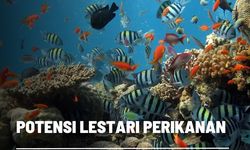 Potensi Lestari Sumber Daya Laut