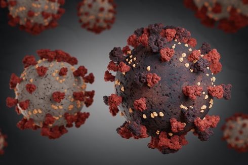 Empat Varian Baru Virus Corona Masuk Indonesia, di Mana Saja Kasusnya?