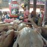 Setiap Tahun RI Oversupply Ayam, Bikin Peternak Merugi