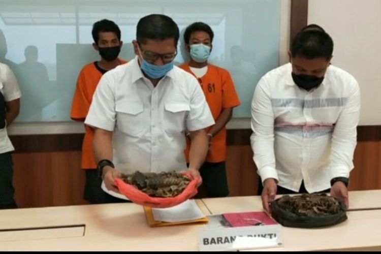 Direktur Reserse Kriminal Khusus Polda Riau Kombes Pol Andri Sudarmadi melakukan ekspos pengungkapan jual beli sisik trenggiling di Riau dan menangkap dua orang tersangka.