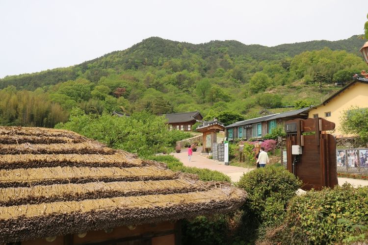 Ilustrasi Pyeongsa-ri di Korea Selatan yang masuk daftar desa wisata terbaik 2022 versi UNWTO.