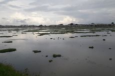 Atasi Pencemaran Limbah, IPAL di Jakarta Utara Akan Dibangun 2020