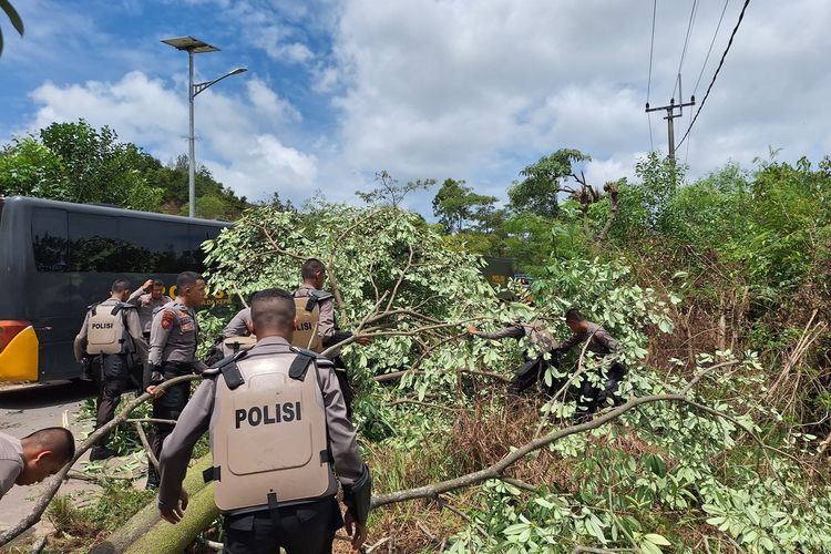 Personel kepolisian saat menyingkirkan pohon yang sengaja ditebang oleh oknum masyarakat tak bertanggung jawab demi menghalangi jalannya tim pengukuran kemarin.