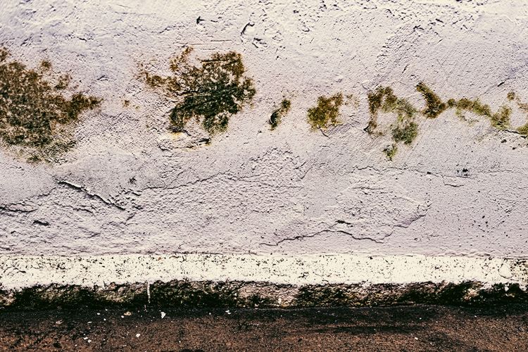 Cara Mengatasi Tembok Lembap&nbsp;