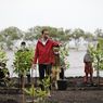Tanpa Alas Kaki, Jokowi Ikut Tanam Mangrove Bersama Warga di Riau