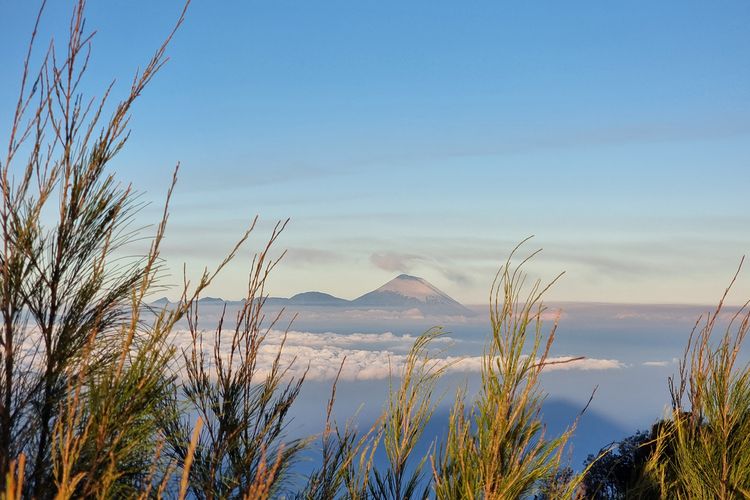 Gunung Semeru dilihat dari Puncak Gunung Buthak, Jawa Timur.