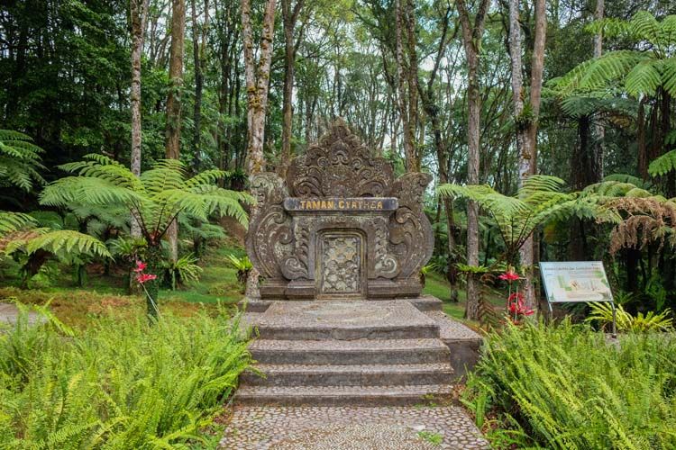 Kebun Raya Eka Karya Bali 