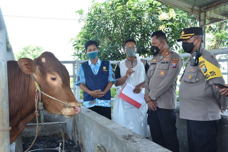 Pihak kepolisian di Lamongan, Jawa Timur, menerjunkan personel hingga kandang sapi untuk memantau dan mengawasi wabah PMK yang terjadi.