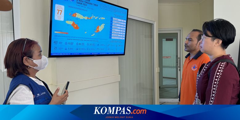 NTT di Persimpangan Jalan: Antara Potensi Gemilang dan Tantangan Pembangunan