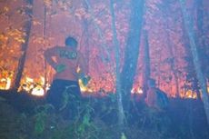 Hutan 5 Gunung di Garut Terbakar, Pegiat Lingkungan Ingatkan Potensi Bahaya