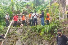 Seekor Biawak Tarik Jasad Bayi Perempuan dari Sungai di Bali