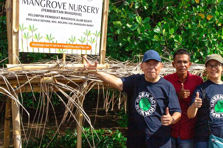 PT Mitra Pinasthika Mustika Tbk melakukan penanaman 20.000 bibit mangrove di Nusa Tenggara Timur (NTT). 