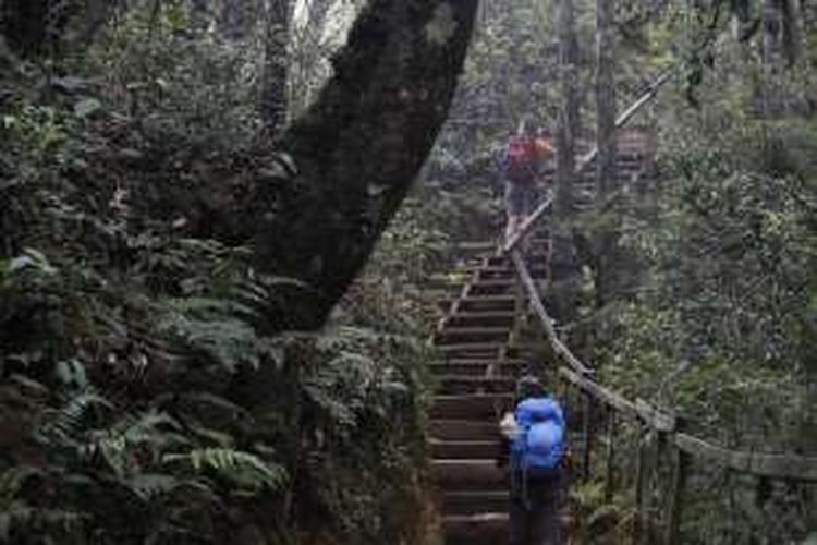 Dua pendaki asal Indonesia tengah menyusuri jalur pendakian Gunung Kinabalu, Sabah, Malaysia, Selasa (22/11/2016). 