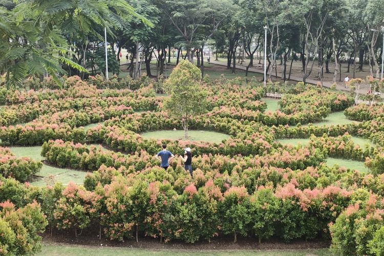 Taman Labirin di tengah Taman Hutan Kota Penjaringan, Jakarta Utara, diabadikan pada Rabu (17/11/2021).