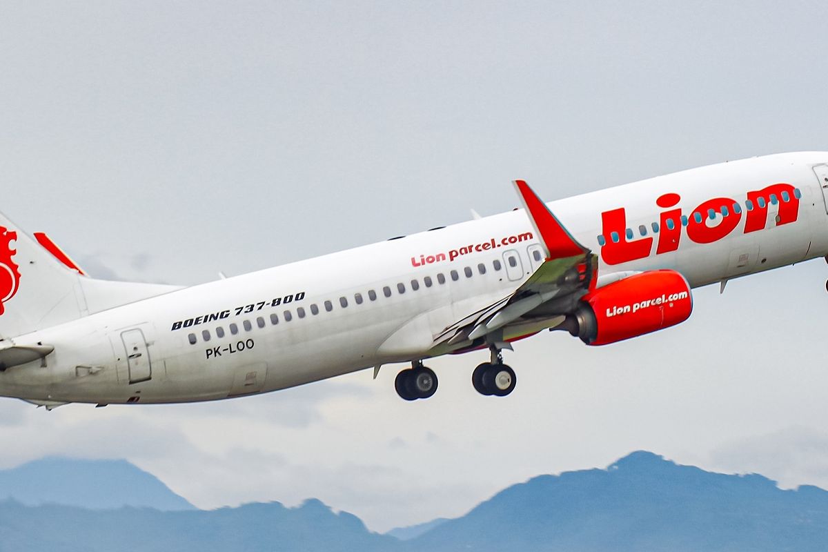 Pesawat Lion Air Boeing 737-800NG. Cara check in online Lion AIr