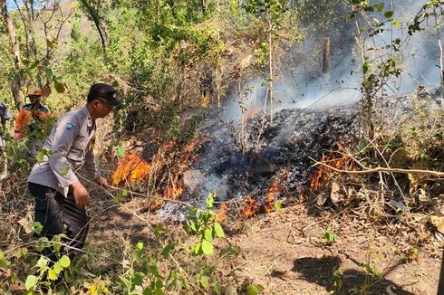 Diduga Akibat Puntung Rokok, Lahan Perbukitan Bendungan Batu Tegi Lampung Terbakar