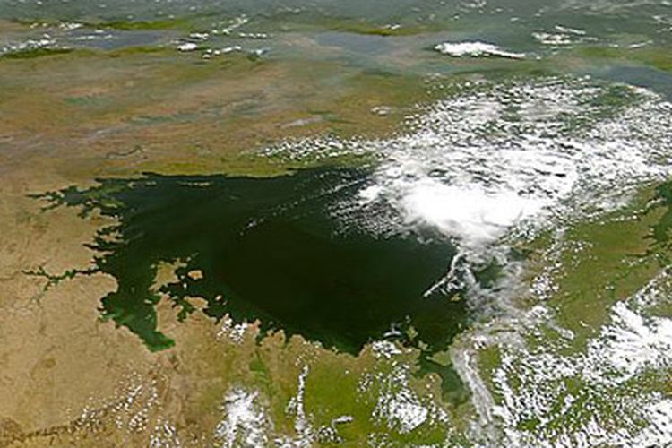 ilustrasi foto udara Danau Victoria, salah satu danau terbesar di dunia.