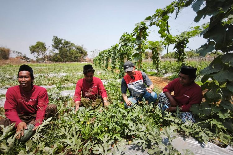 Kisah Marnawi, dari Buruh Perantauan hingga Raup Puluhan Juta dari Lahan Gersang