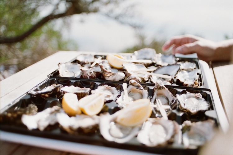 Ilustrasi kerang oyster yang belum dimasak