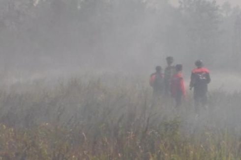 Puluhan Hektar Lahan Gambut di Palangkaraya Terbakar