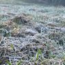 Embun Es Muncul Lagi di Dieng, Agustus-September Jadi Puncak Kemarau