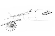 Kunci Thomas Frank Bawa Tottenham Kalahkan Arsenal di Derbi London