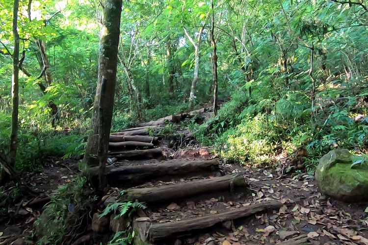 Jalur Pos 3-Pos 4 Gunung Penanggungan via Tamiajeng yang mulai menanjak.