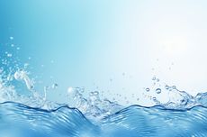 Lecehkan Karyawan Minimart di Kuta, Seorang Pemuda di Bali Ditangkap Polisi