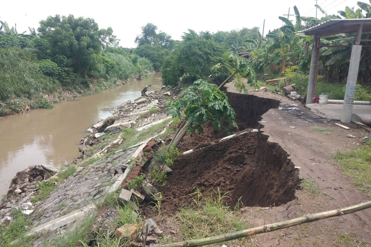 Plengsengan Sungai Kambeng di Desa Carat, Kecamatan Gempol, Kabupaten Pasuruan, Jawa Timur ambrol tergerus banjir sepanjang 60 meter, Kamis (16/01/2025). 