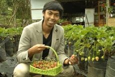 Sarjana Teknik Ini Sukses di Bisnis Agrowisata 